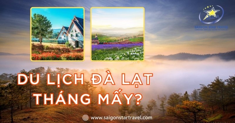 Cách Lựa Du Lịch Đà Lạt Tháng Mấy