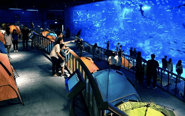 sea-aquarium-singapore-0001