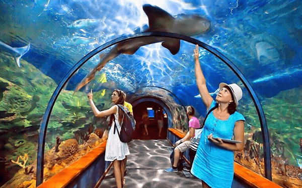 sea-aquarium-singapore-0005