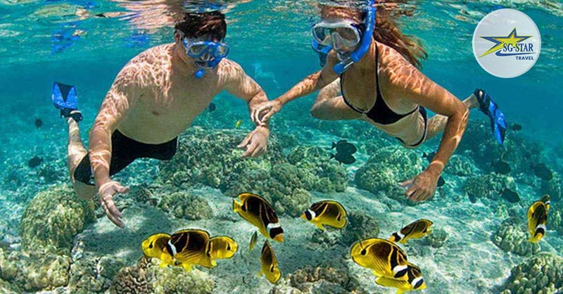 Tại Hòn Dầu, du khách trải nghiệm lặn ngắm san hô dưới lòng thuỷ cung 