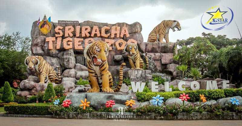 Vườn thú Tiger Zoo – Tour Du lịch Thái Lan 4 ngày 3 đêm
