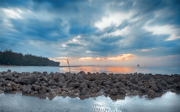 Khám phá nét bình yên tại đảo Thạnh An Cần Giờ | SaiGon Star Travel