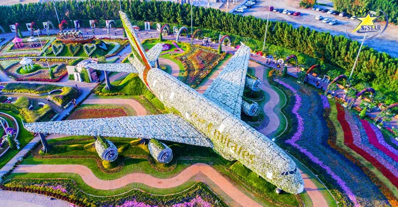Mô hình hoa lắp đặt lớn nhất thế giới tại Miracle Garden