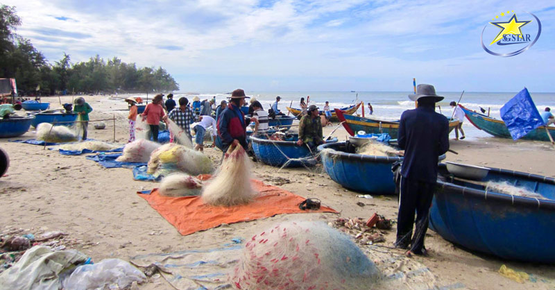 Mua sắm và thưởng thức hải sản tươi tại làng chài Tân Hải 