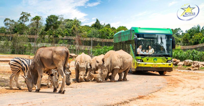 Khám phá Safari Phú Quốc với hình thức“ nhốt người, thả thú” 