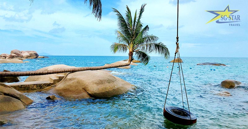 Cây dừa nằm nổi tiếng tại Bãi Xếp - Du lịch Đảo Hòn Sơn 2N2Đ