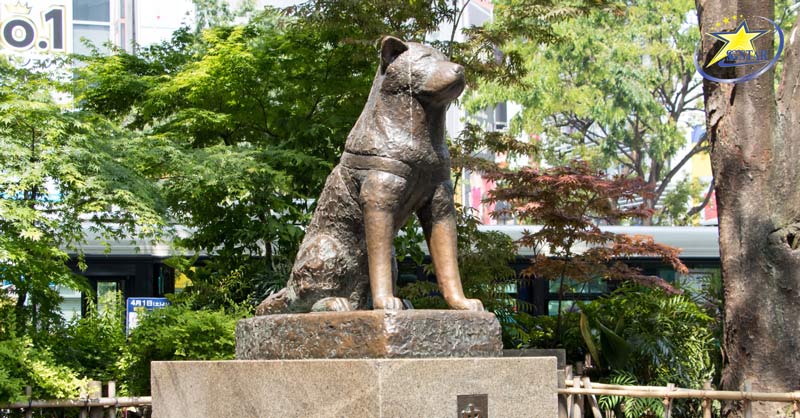 Tượng chó Hachiko – biểu tượng về lòng trung thành của Nhật Bản