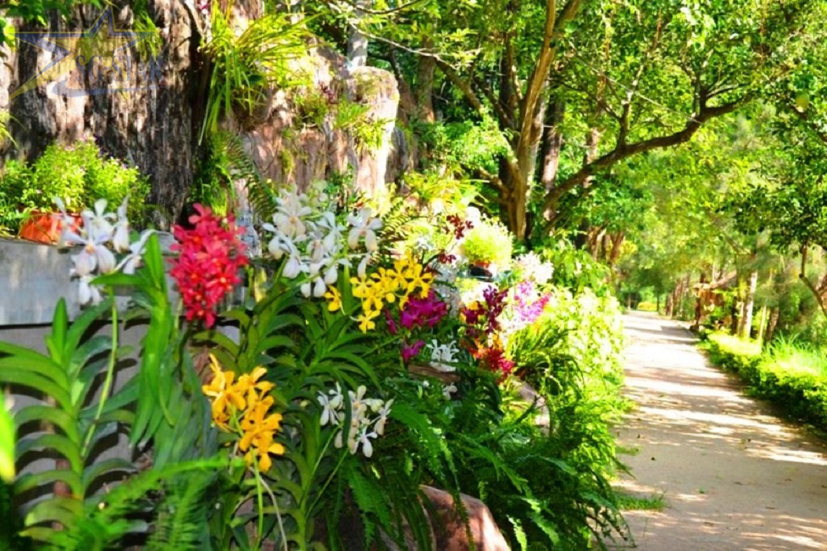 Thiên đường hoa lan tại Đảo
