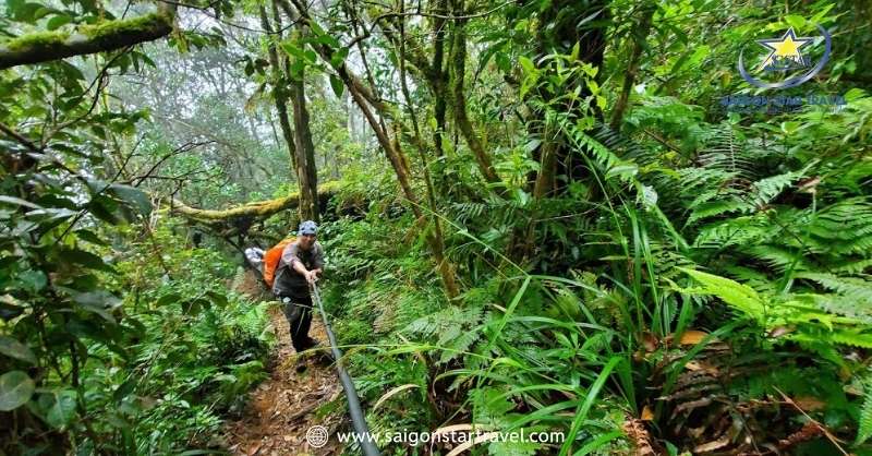 Trekking dọc theo đỉnh núi Langbiang