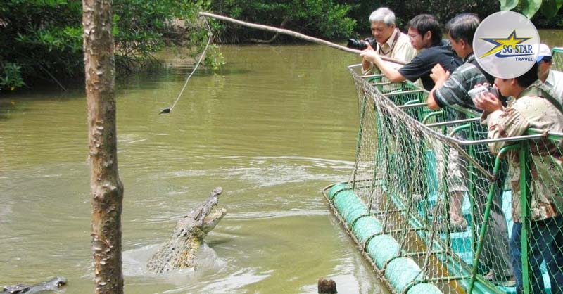 Trải nghiệm "câu cá sấu" tại Khu Bảo Tồn Cá Sấu Hoa Cà - Tour Cần Giờ 1 Ngày