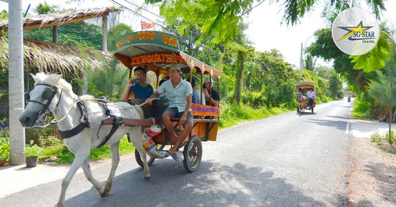 Trải nghiệm đi xe ngựa quanh đường làng - Du lịch Miền Tây Tết Nguyên Đán