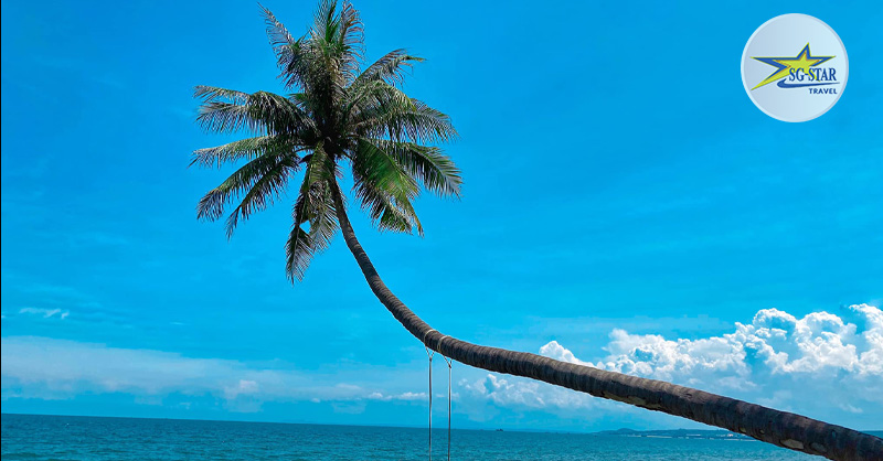 Biểu tượng cây dừa nghiêng tại bãi biển Mũi Né Phan Thiết được yêu thích
