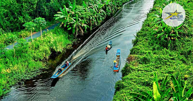 Khám phá cung đường xuyên rừng cực HOT tại rừng U Minh Hạ 