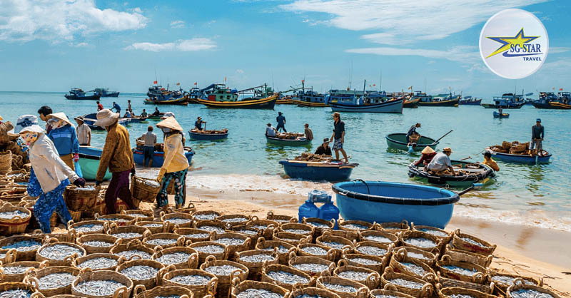 Hãy ghé mua hải sản tươi và rẻ tại làng chài vào sáng sớm khi đến biển Long Hải