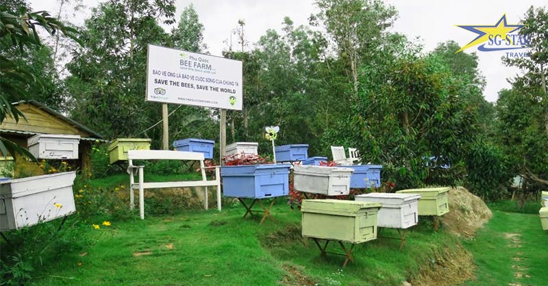 Thưởng thức mật ong rừng ở Trại ong Phú Quốc