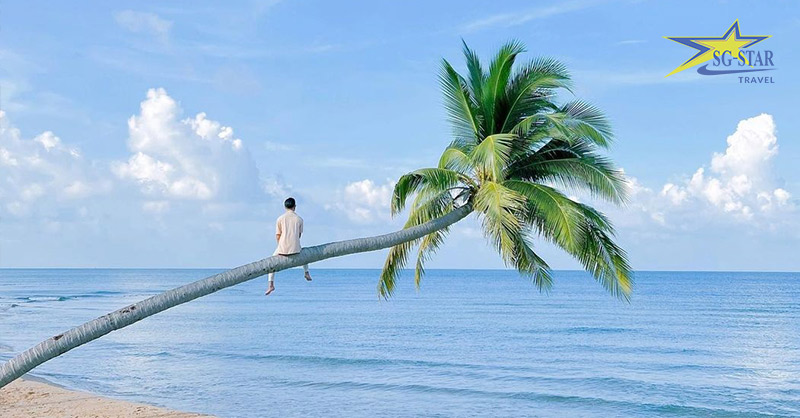check-in cây dừa nghiêng nổi tiếng bãi Sao Phú QUốc