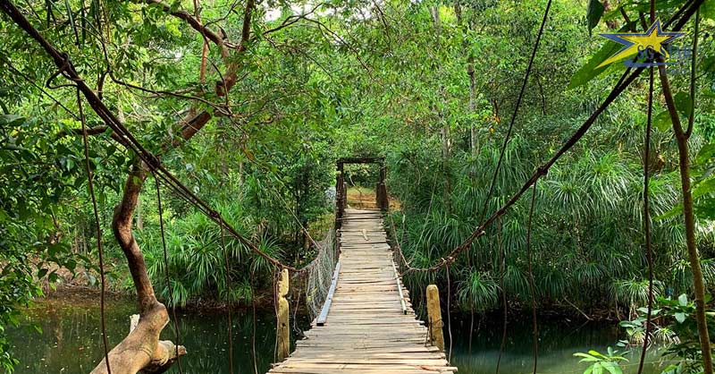 Cây cầu gỗ đi tới suối Đá Bàn Phú Quốc