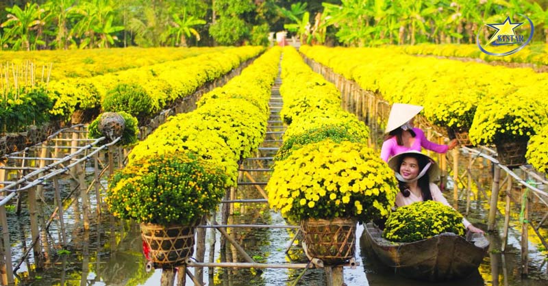 Du lịch Tết trong nước ghé thăm làng hoa Đồng Tháp rực rỡ sắc hoa