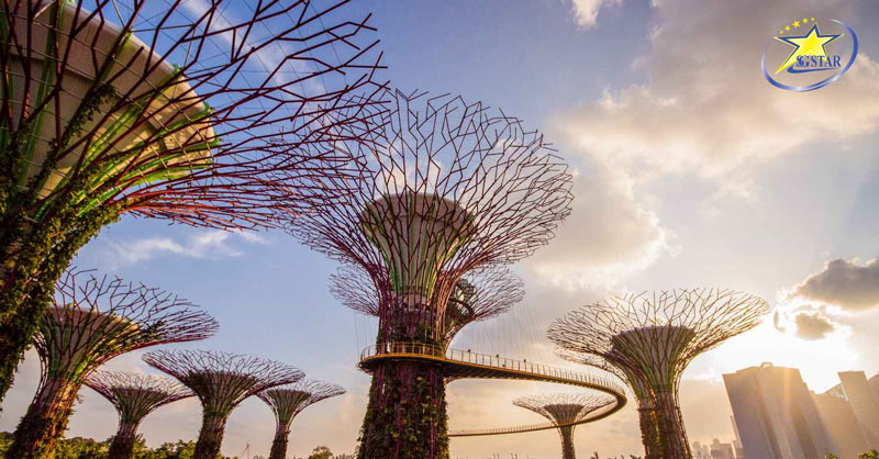 Gardens by the Bay - Du lịch Malaysia SingaporeTết 2024