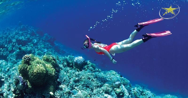 Lặn biển ngắm san hô cũng là hoạt động được yêu thích khi đến du lịch Phú Quốc