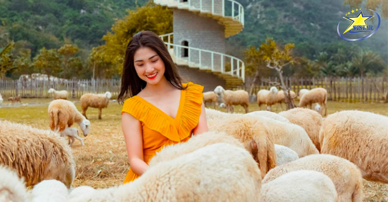 Du lịch Đồi Cừu Suối Tiên - Bình Thuận 2023