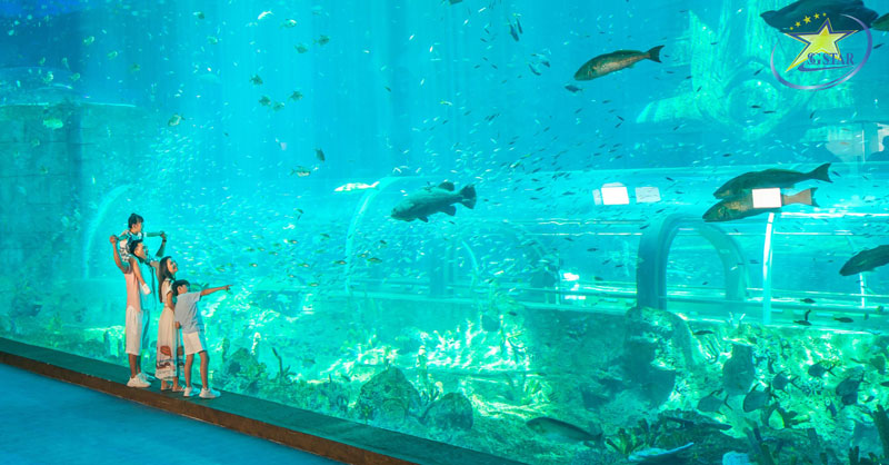 Khám phá đại dương với bể cá khổng lồ ở Cung điện Hải Vương