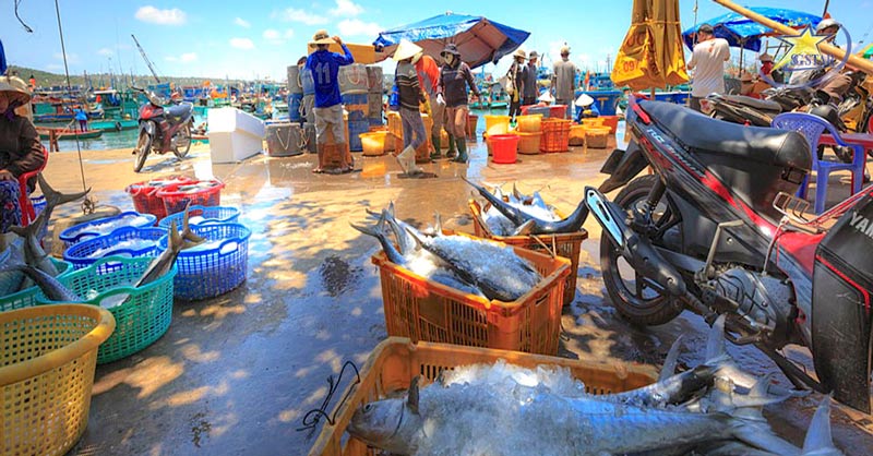Hoà mình vào không khí   nhộn nhịp của Chợ hải sản làng chài Hàm Ninh