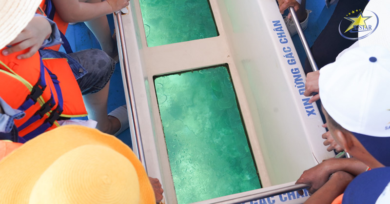 Quý khách được trải nghiệm ngắm san hô bằng tàu đáy kinh đầy thú vị