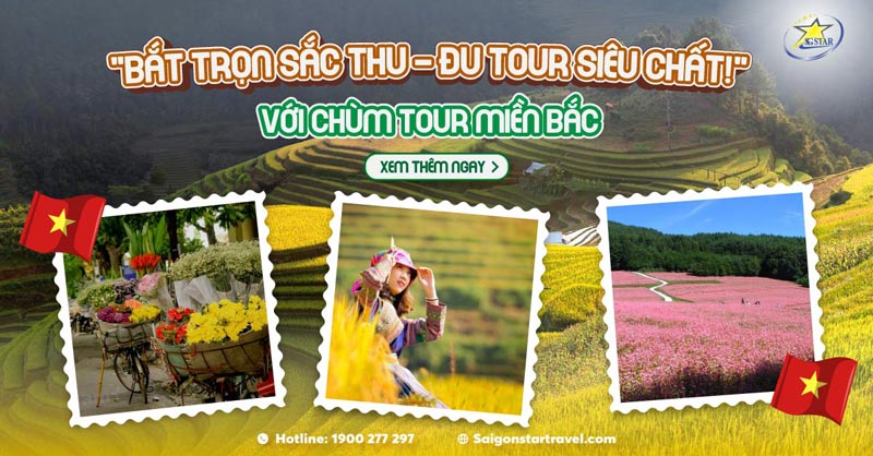 Chùm tour du lịch mùa thu - Saigon Star Travel