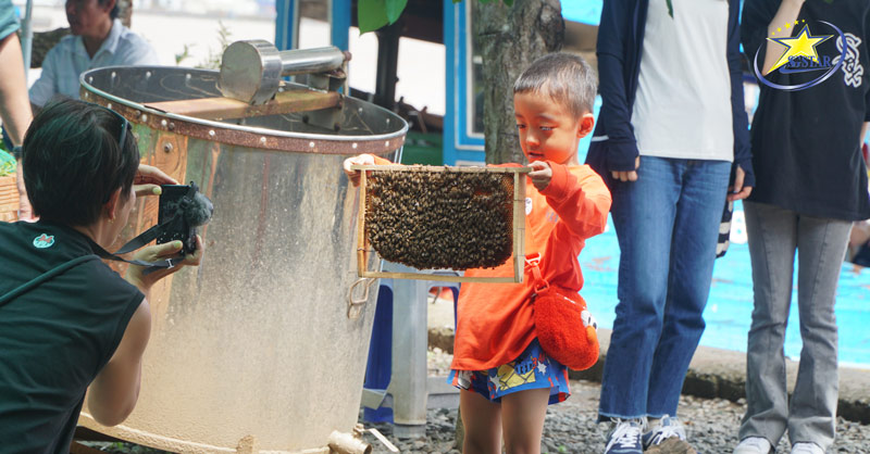 Check-in tại Trang trại nuôi ong | Tour Tết Miền Tây 2024