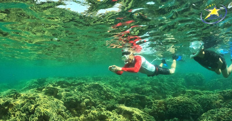 Lặn biển ngắm san hô là hoạt động được yêu thích khi đến du lịch Phú Quốc
