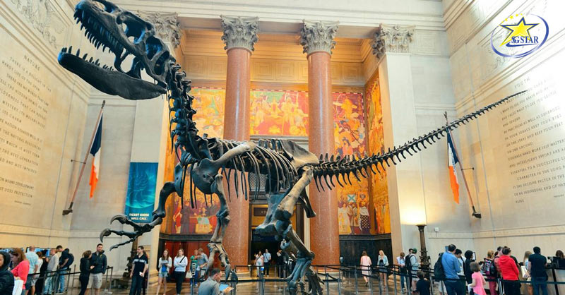 Gian trưng bày hóa thạch khủng long ở Bảo tàng tự nhiên 