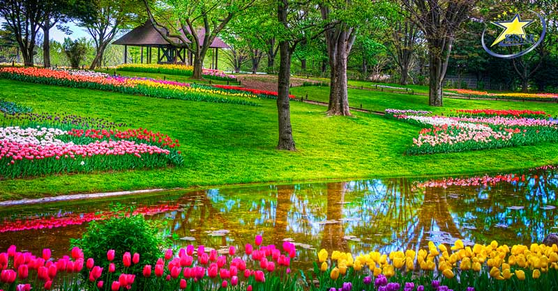 Công viên Shova Kinen nổi tiếng với sắc hoa rực rỡ theo mùa