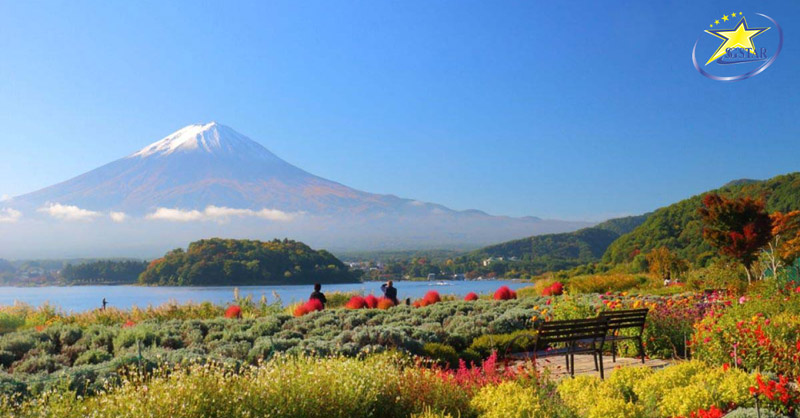Công viên OIshi có con đường đi dạo trồng nhiều loài hoa đẹp, đua sắc bốn mùa