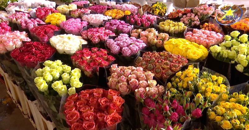 Tham quan và mua sắm tại chợ hoa Côn Minh lớn nhất Châu Á