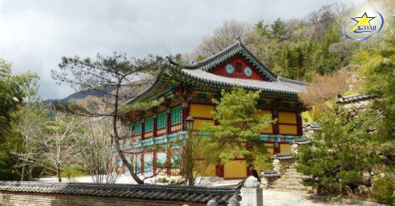 Hadong Hàn Quốc - chốn tiên cảnh bình yên 