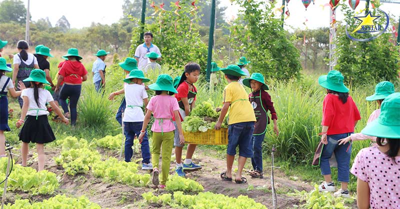 Thu hoạch nông sản tại Trang trại Nam Trạng