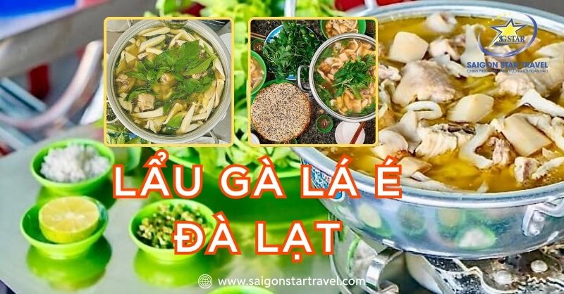 Lẩu gà lá é Đà Lạt ngon nhức nách