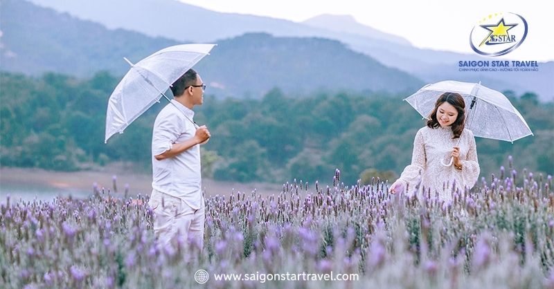 Check-in cùng lavender ở hồ Tuyền Lâm