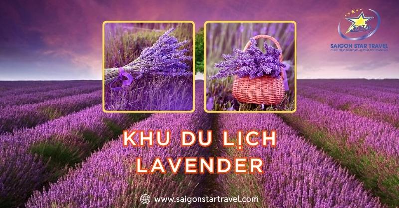 Khu du lịch lavender Đà Lạt