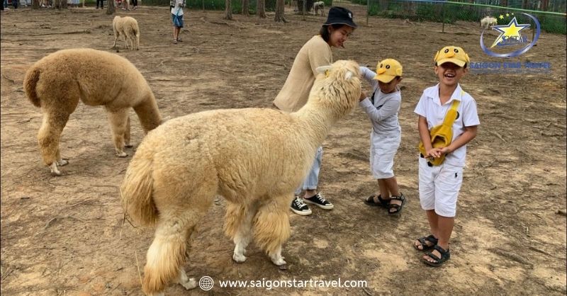 Hướng dẫn di chuyển tới địa điểm sở thú Zoodoo Đà Lạt