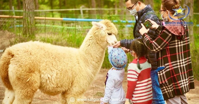 Sở Thú ZooDoo - địa điểm vui chơi thú vị không nên bỏ lỡ