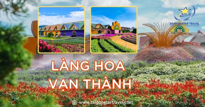 Làng hoa Vạn Thành đẹp lung linh