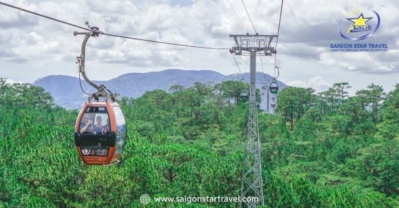 Nên ngắm đồi Robin Đà Lạt từ 9h-11h trưa