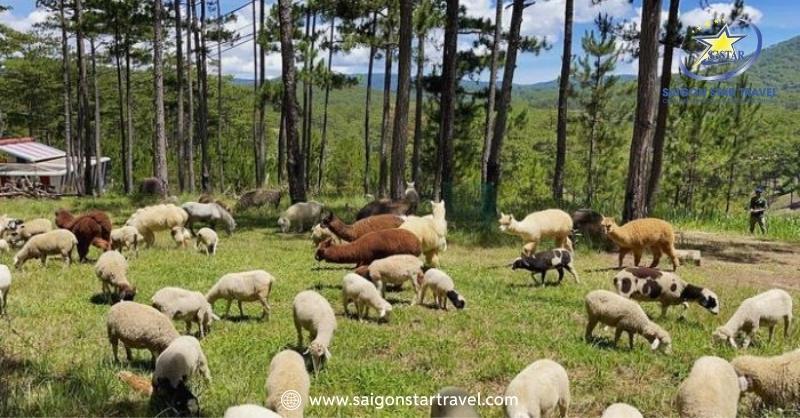 Khu vườn thu hút rất nhiều du khách yêu thích động vật