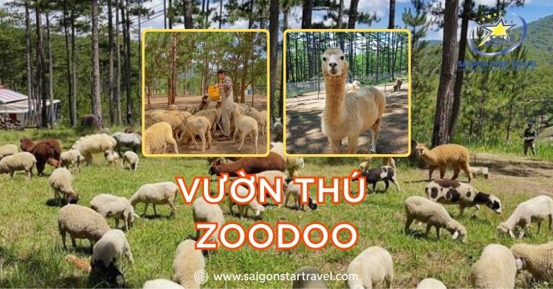 Vườn thú Zoodoo - Nơi thỏa mãn cho ai thích động vật