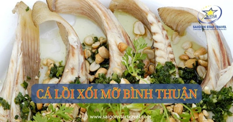 Cá lồi xối mỡ Bình Thuận