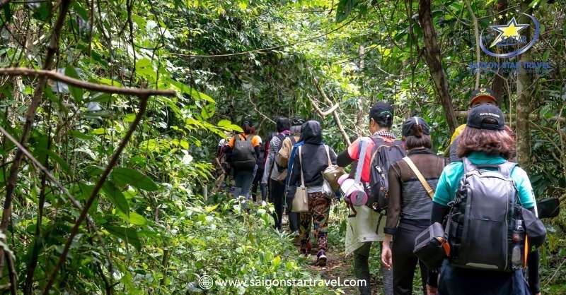 Lợi ích về sức khỏe Khi Trekking Núi Tà Cú 