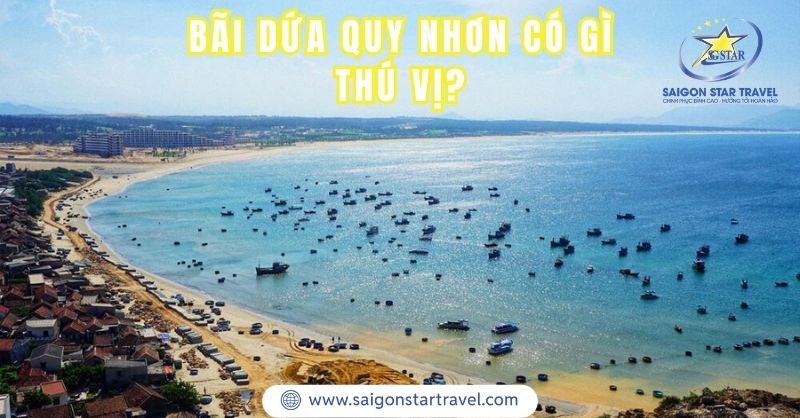 Bãi Dứa Quy Nhơn Có Gì Thú Vị? Nên Đến Vào Thời Điểm Nào?