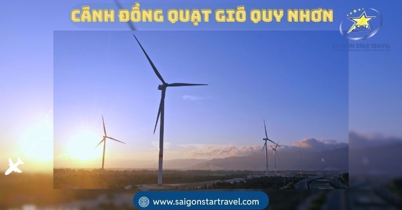 Sống Ảo Quên Lối Về Tại Cánh Đồng Quạt Gió Quy Nhơn